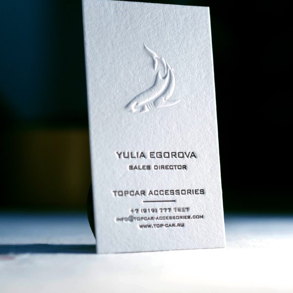 Визитка Shark