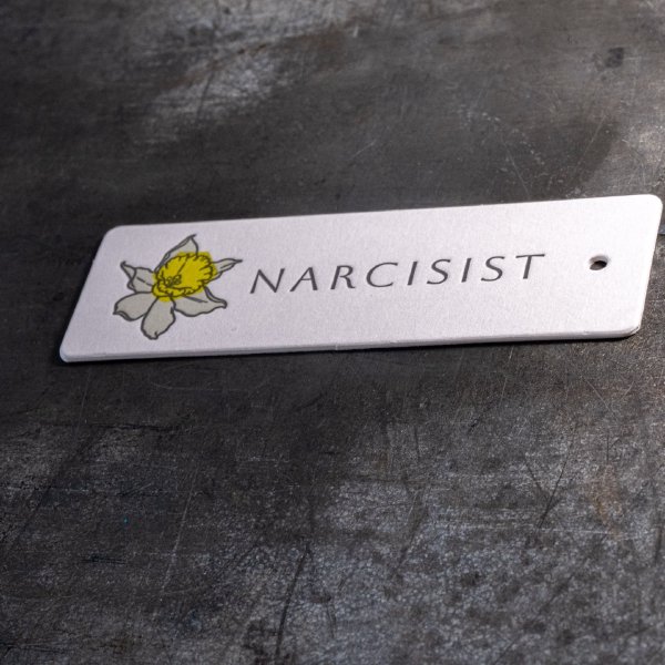 Бирки Narcisist